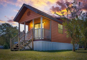 Cozy 1BR Cabin in Jacksonville